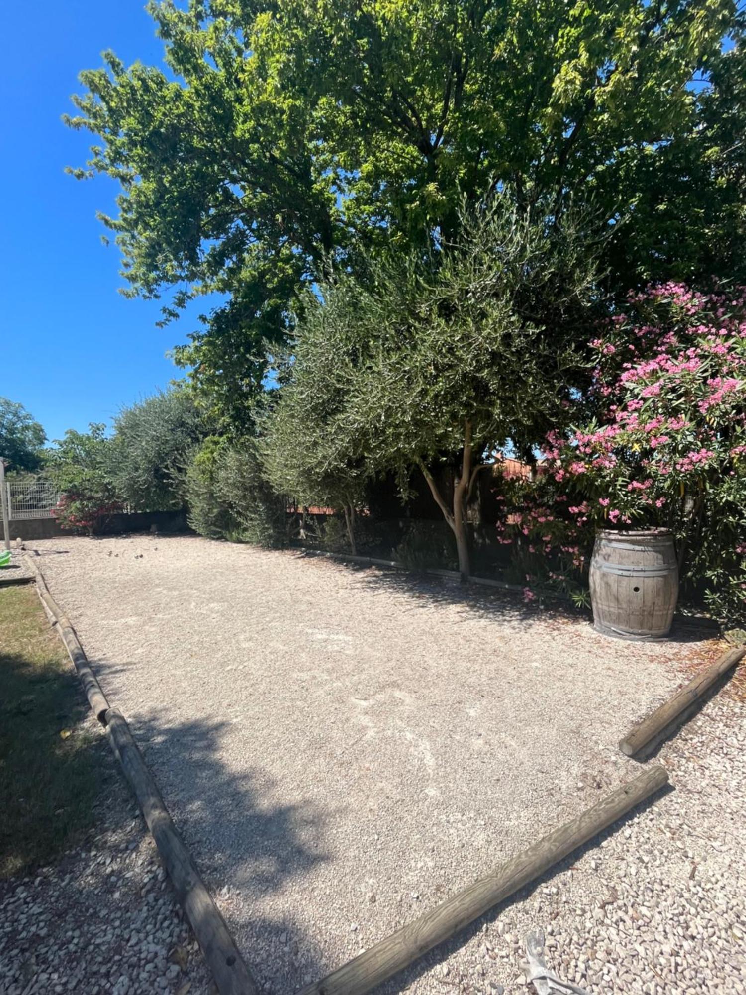 Studio Menthe-Clim-Terrain De Petanque-Piscine Collective Saint-Paul-Trois-Châteaux Zewnętrze zdjęcie